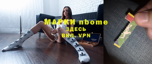 прущие грибы Алексеевка