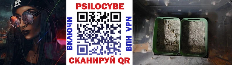 Галлюциногенные грибы мухоморы  Славск 